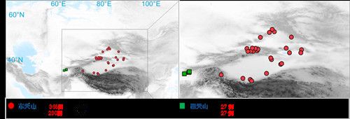 项目获取的天山东西部古人群的线粒体与核基因组分布图。 欧宝电竞平台供图